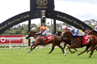 Ready to Run Sale graduate Star of Bombay (NZ) claims the Listed Mufhasa Stakes. Photo: Trish Dunell.